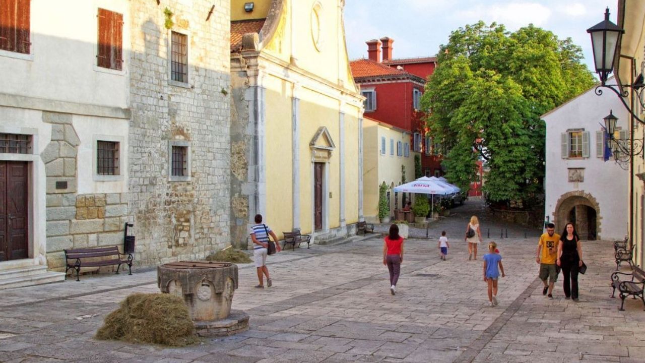 Photo of Outdoor in Novaki Motovunski