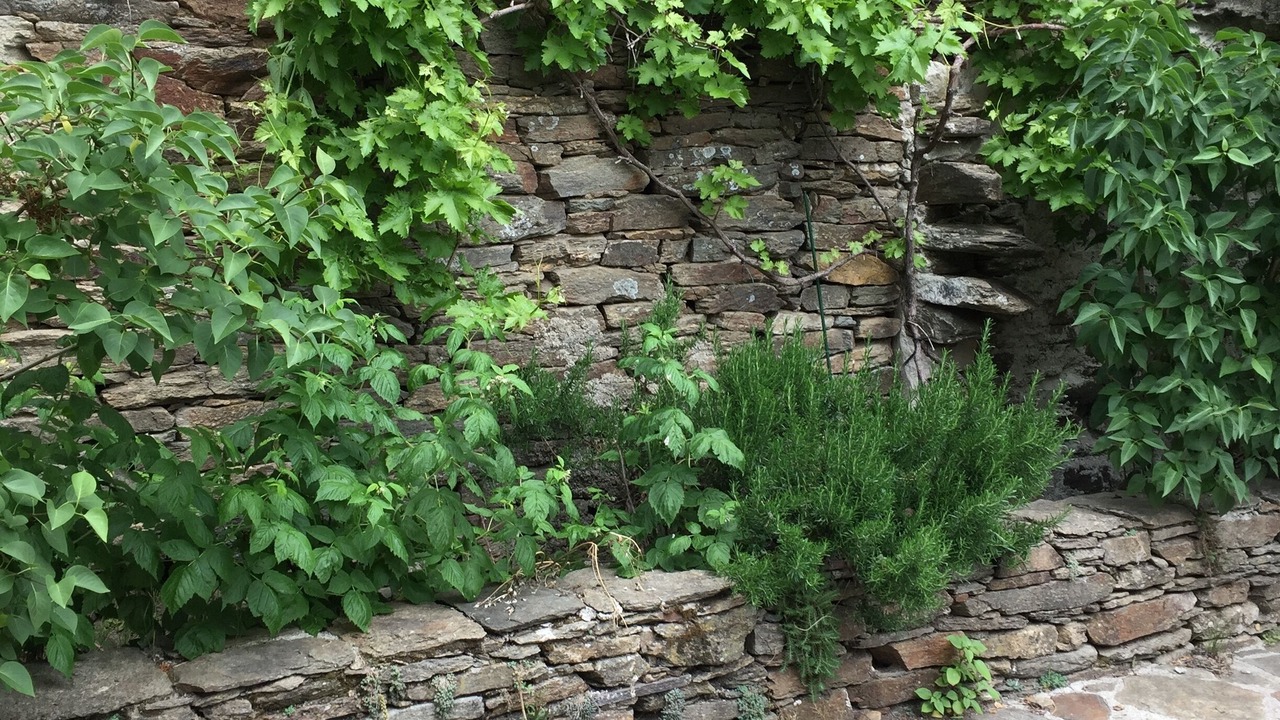 Photo of Outdoor in Bonnevaux