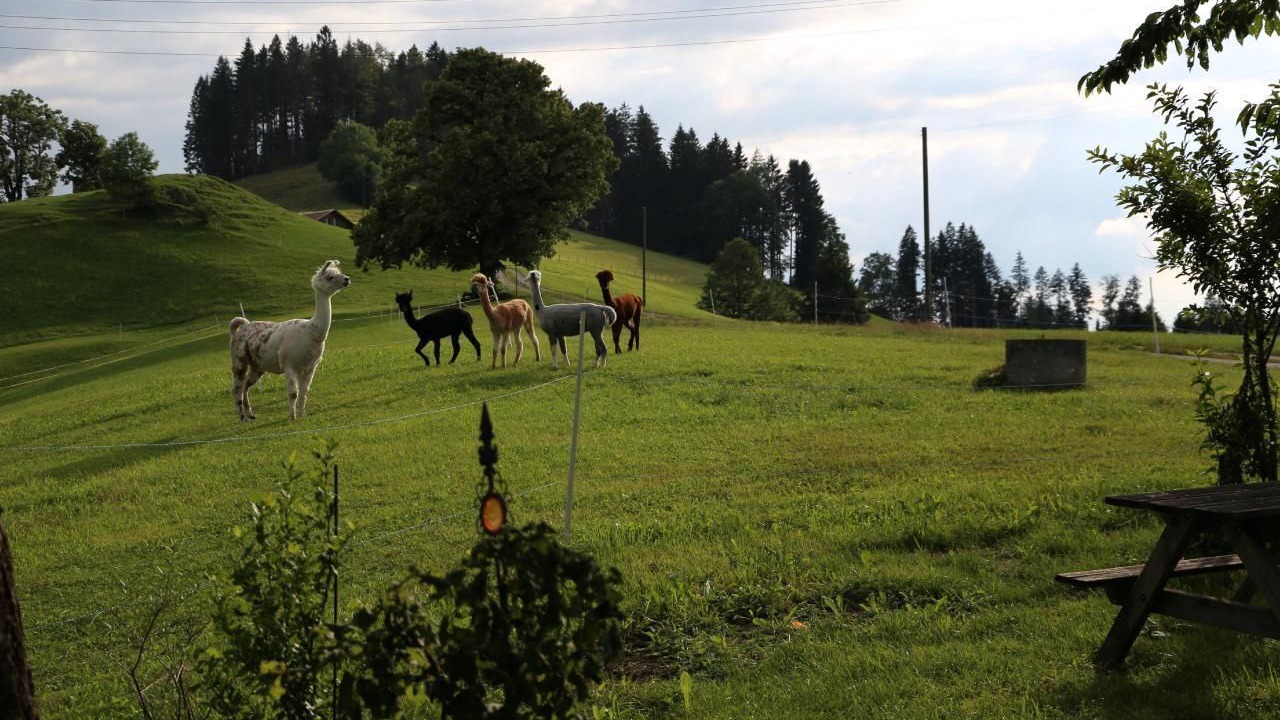 Photo of Outdoor in Rute