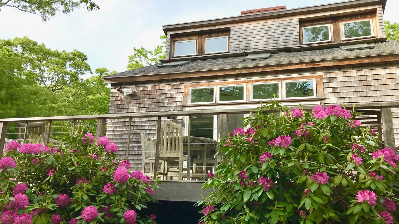 Photo of Others in West Tisbury