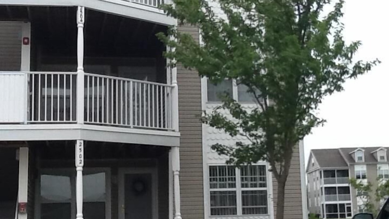 Photo of Others in Ocean View