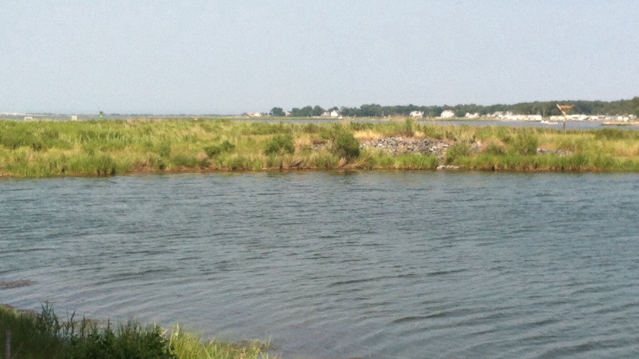 Photo of Outdoor in Ocean View