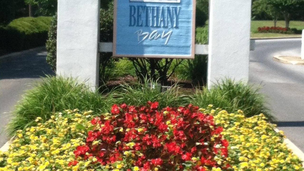 Photo of Others in Ocean View