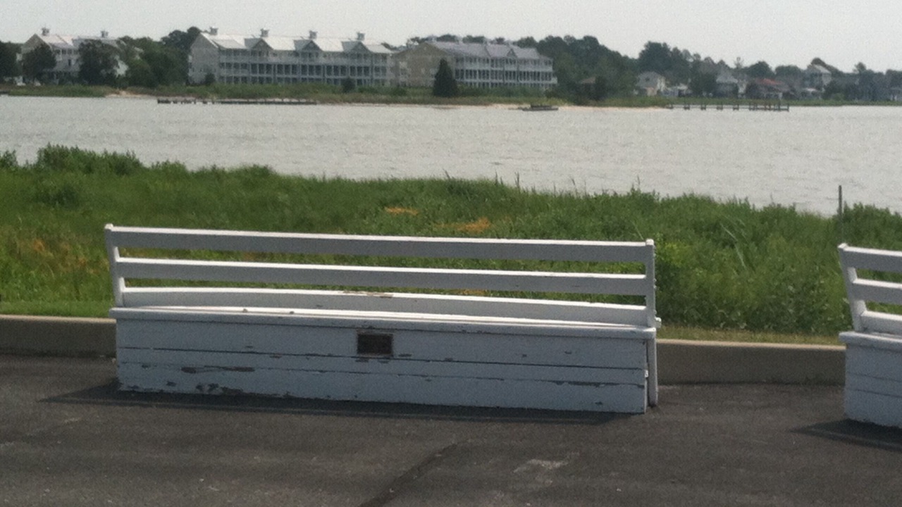 Photo of Others in Ocean View