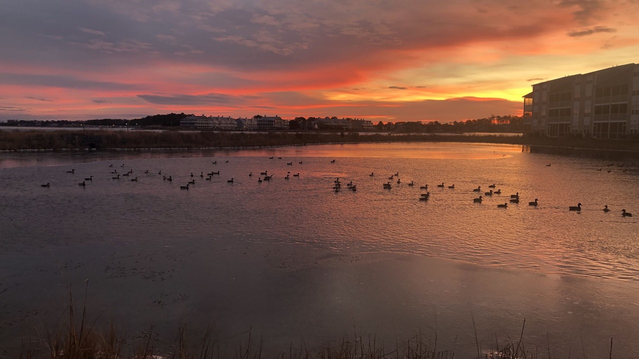 Photo of Outdoor in Ocean View