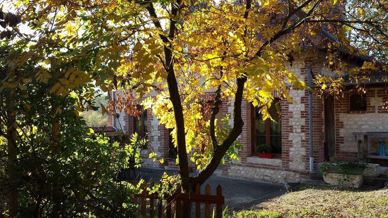Photo of Outdoor in Saint-Martin-de-Boscherville