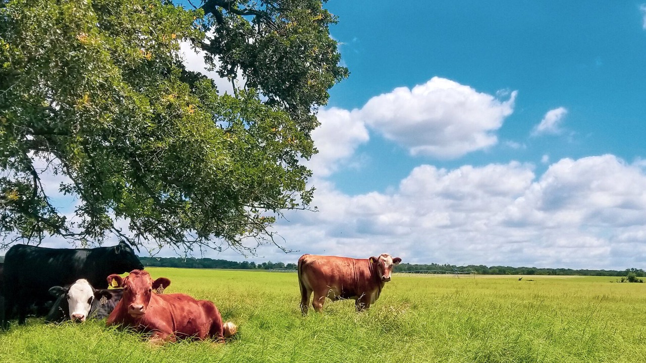 Photo of Outdoor in Energy