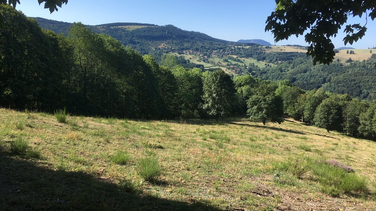 Photo of Outdoor in Bellefosse