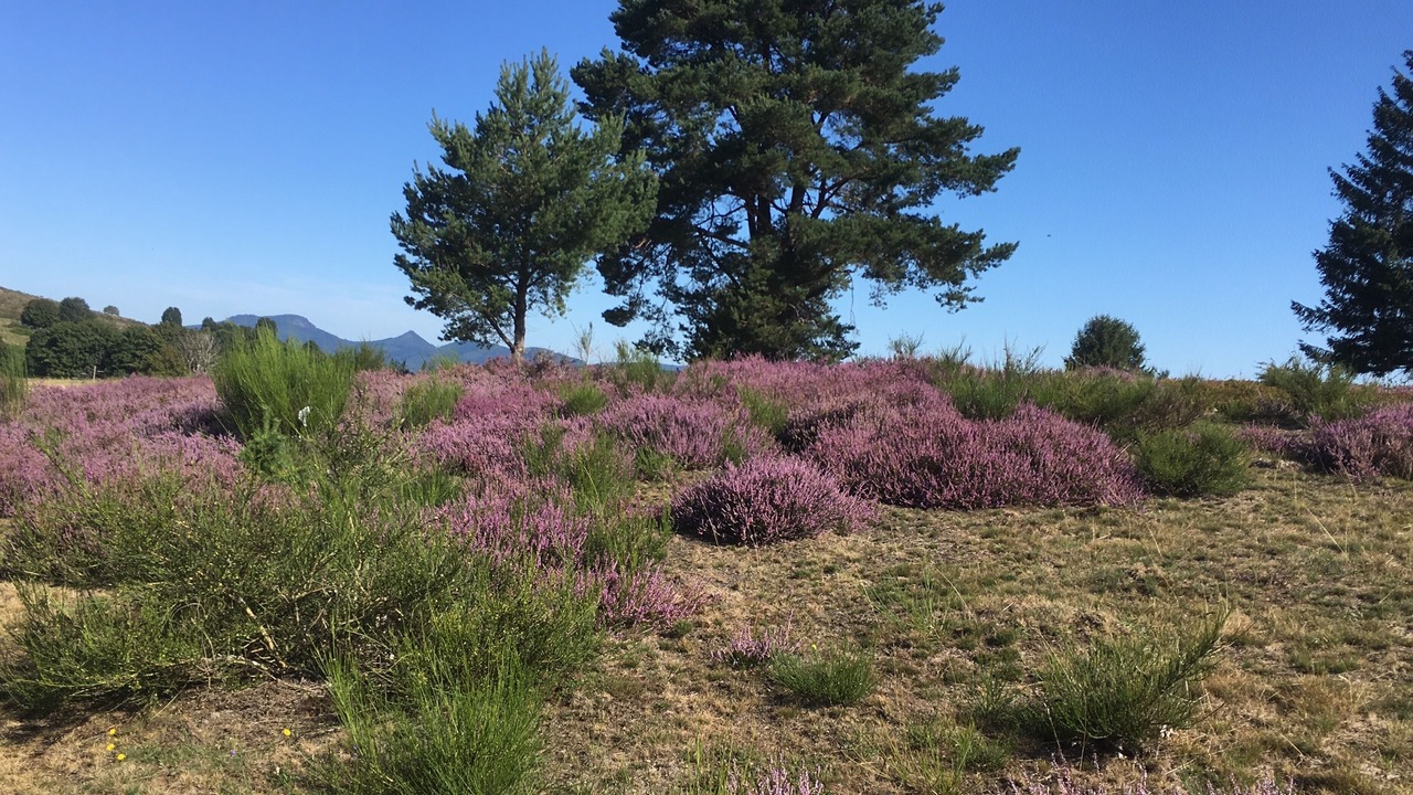Photo of Outdoor in Bellefosse