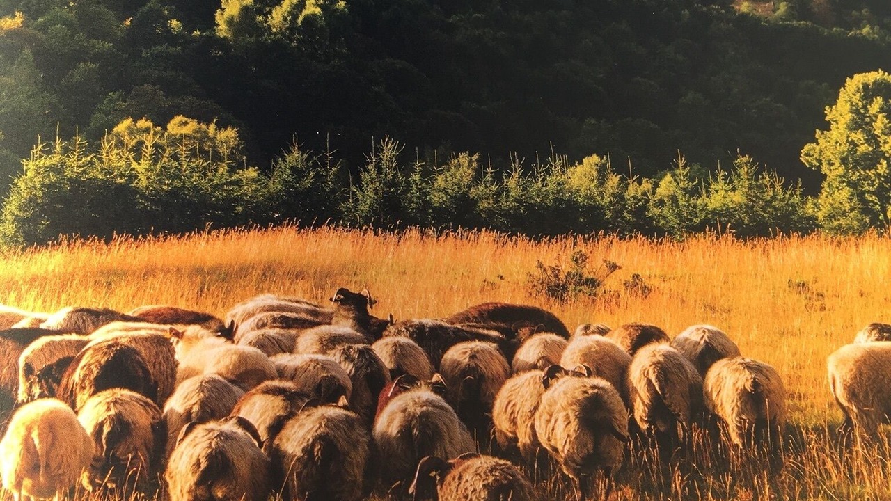 Photo of Outdoor in Bellefosse