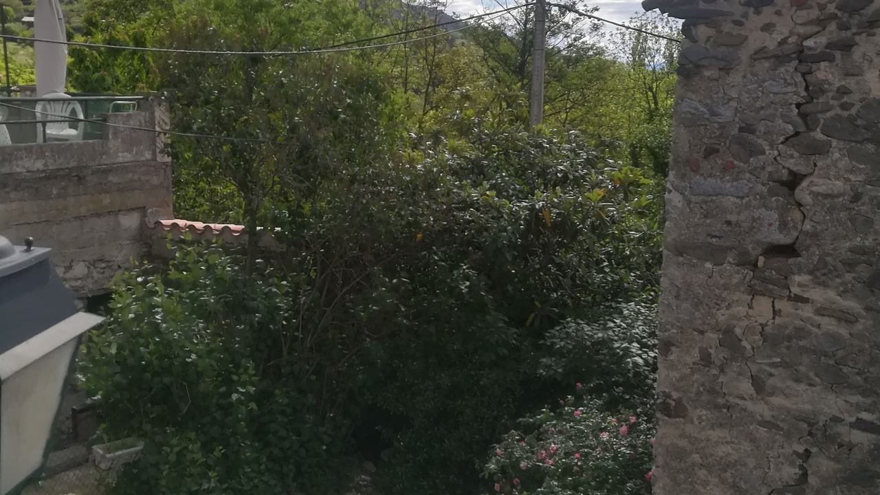 Photo of Outdoor in Mosset