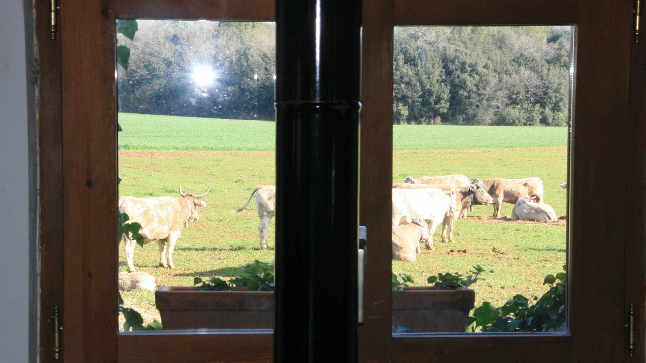 Photo of Others in Maia de Montcal