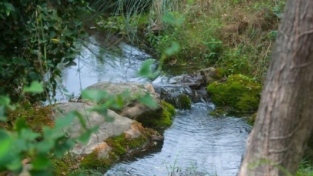 Photo of Outdoor in Pauls