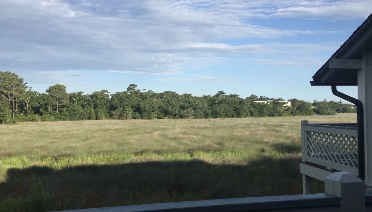 Photo of Others in Saint Simons Heights