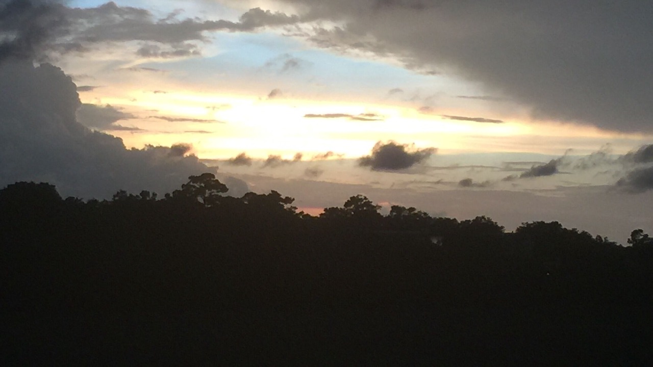 Photo of Others in Saint Simons Heights