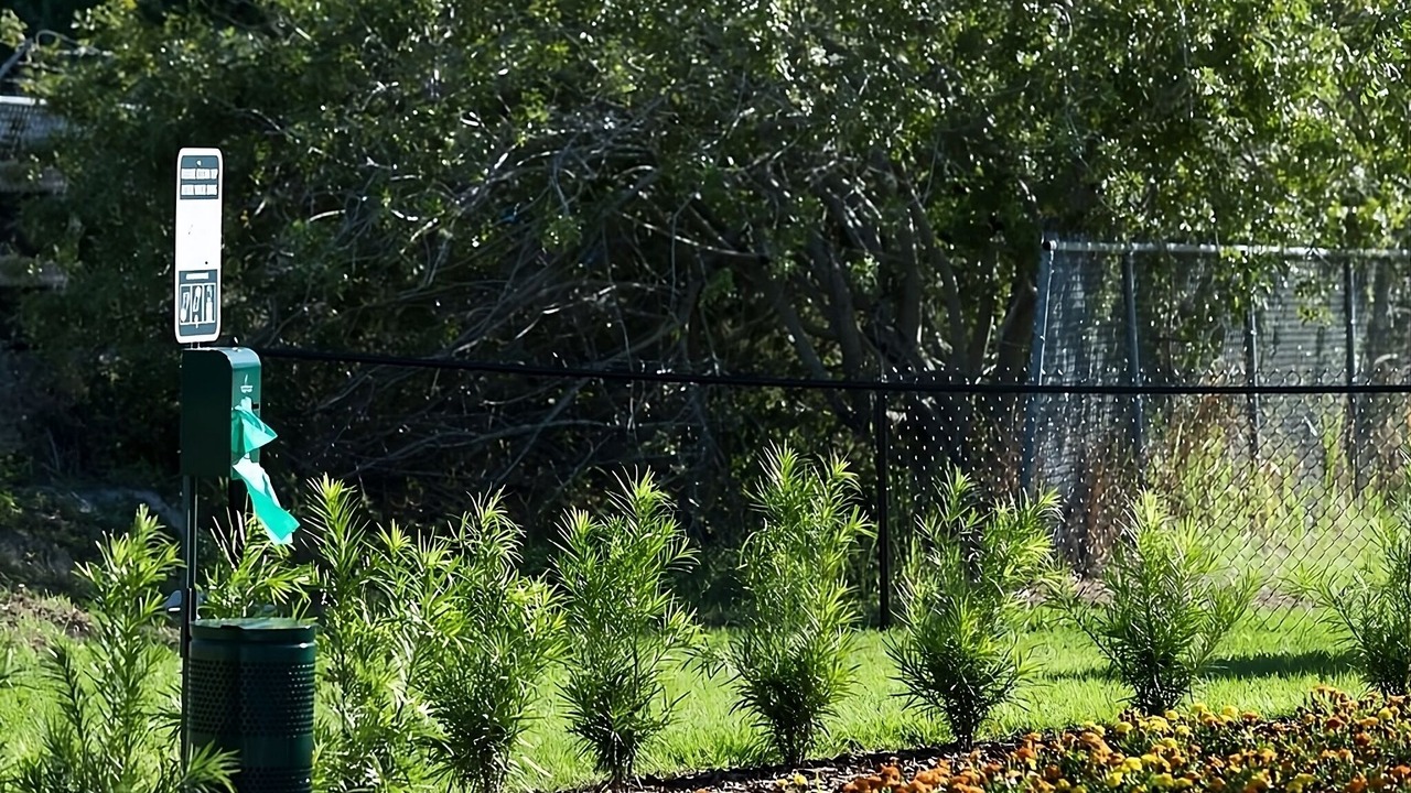 Photo of Outdoor in Airport North