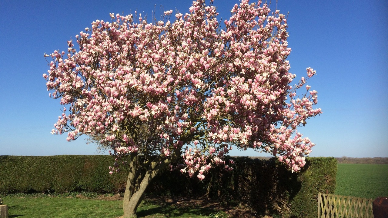 Photo of Outdoor in Acheux-en-Vimeu