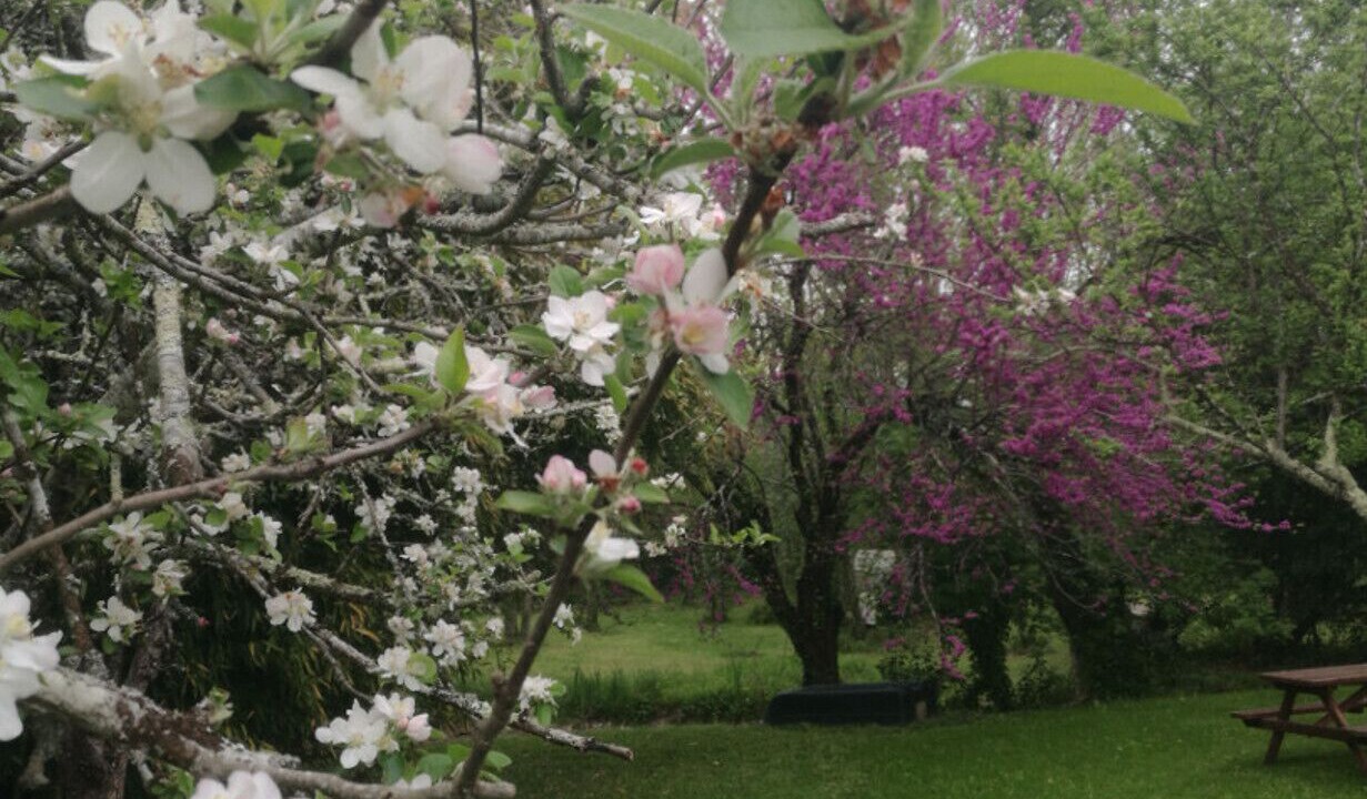 Photo of Outdoor in Chenac-Saint-Seurin-d'Uzet