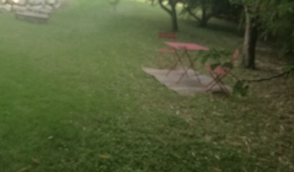Photo of Outdoor in Chenac-Saint-Seurin-d'Uzet