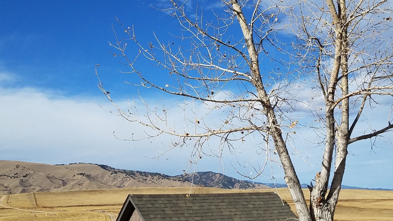 Photo of Others in Buffalo