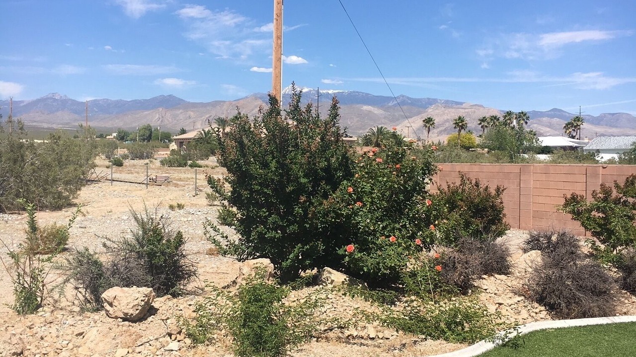 Photo of Outdoor in Pahrump