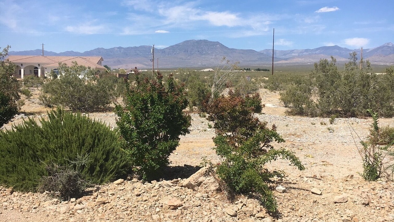 Photo of Outdoor in Pahrump