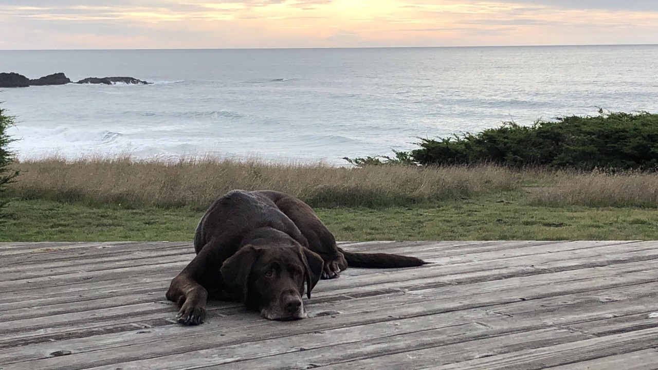 Photo of Others in Sea Ranch