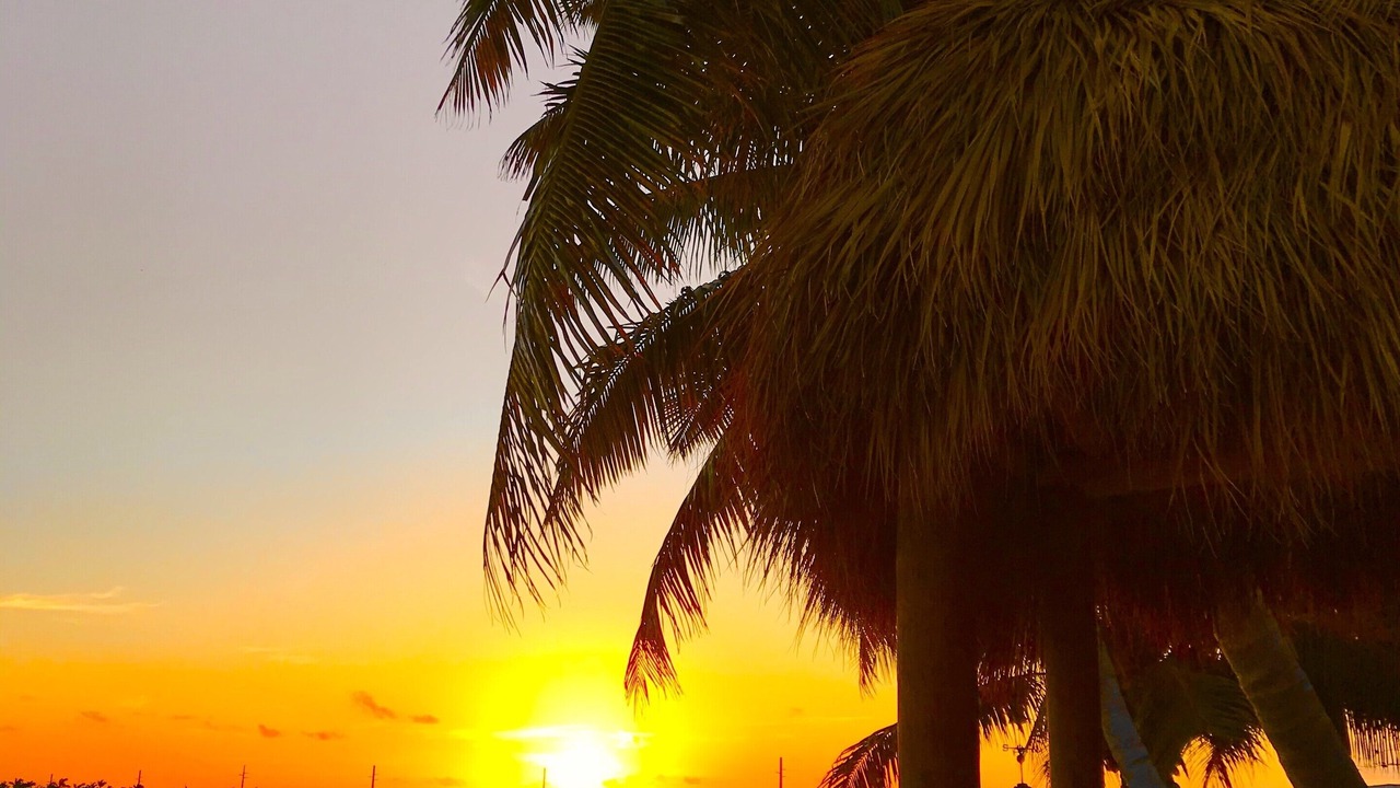 Photo of Others in Key West