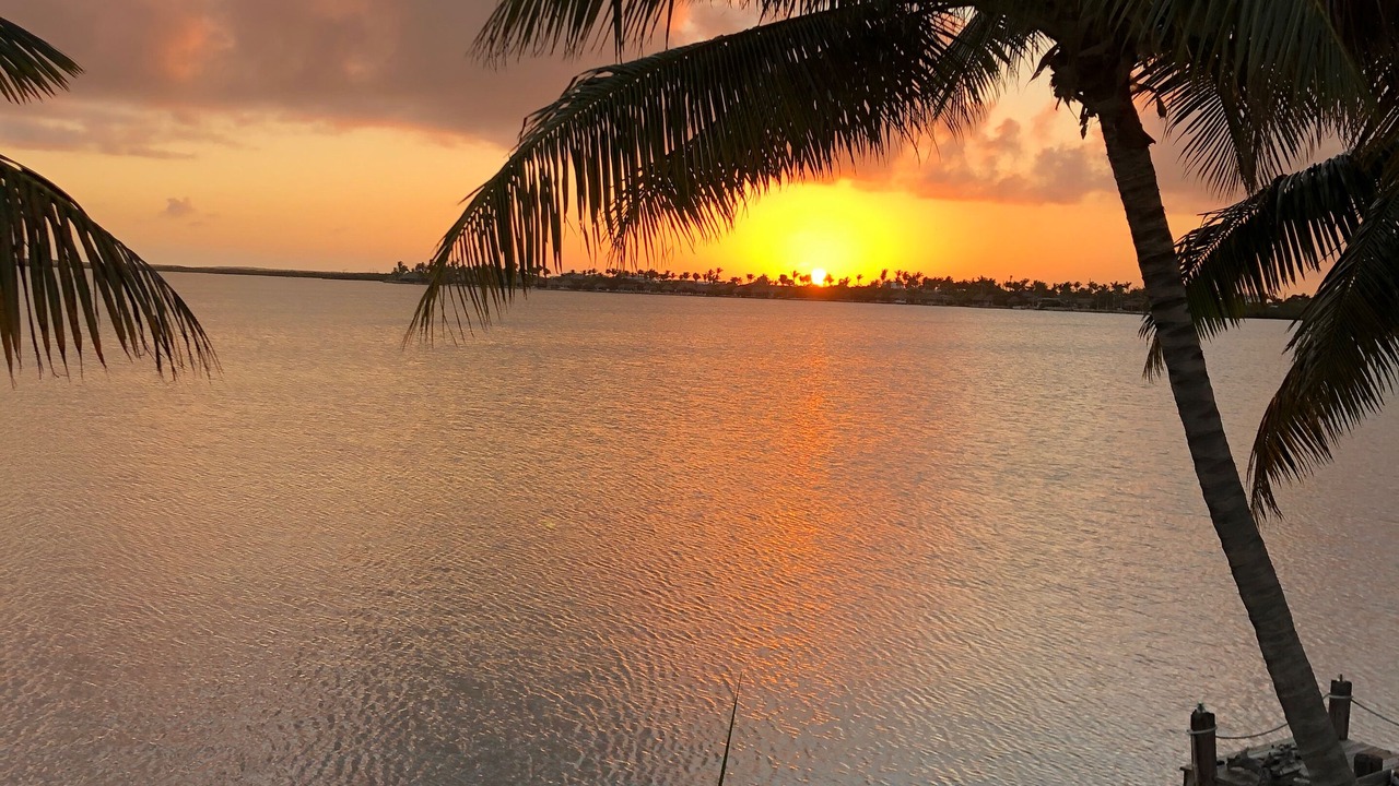 Photo of Others in Key West