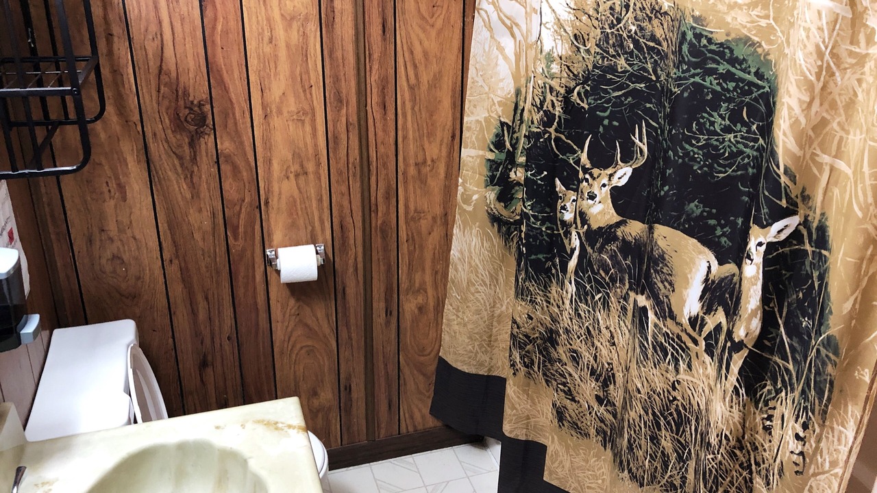 Photo of Bathroom in White Pine