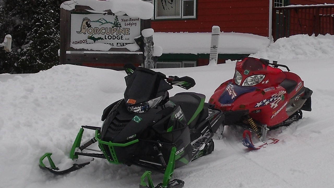 Photo of Outdoor in White Pine