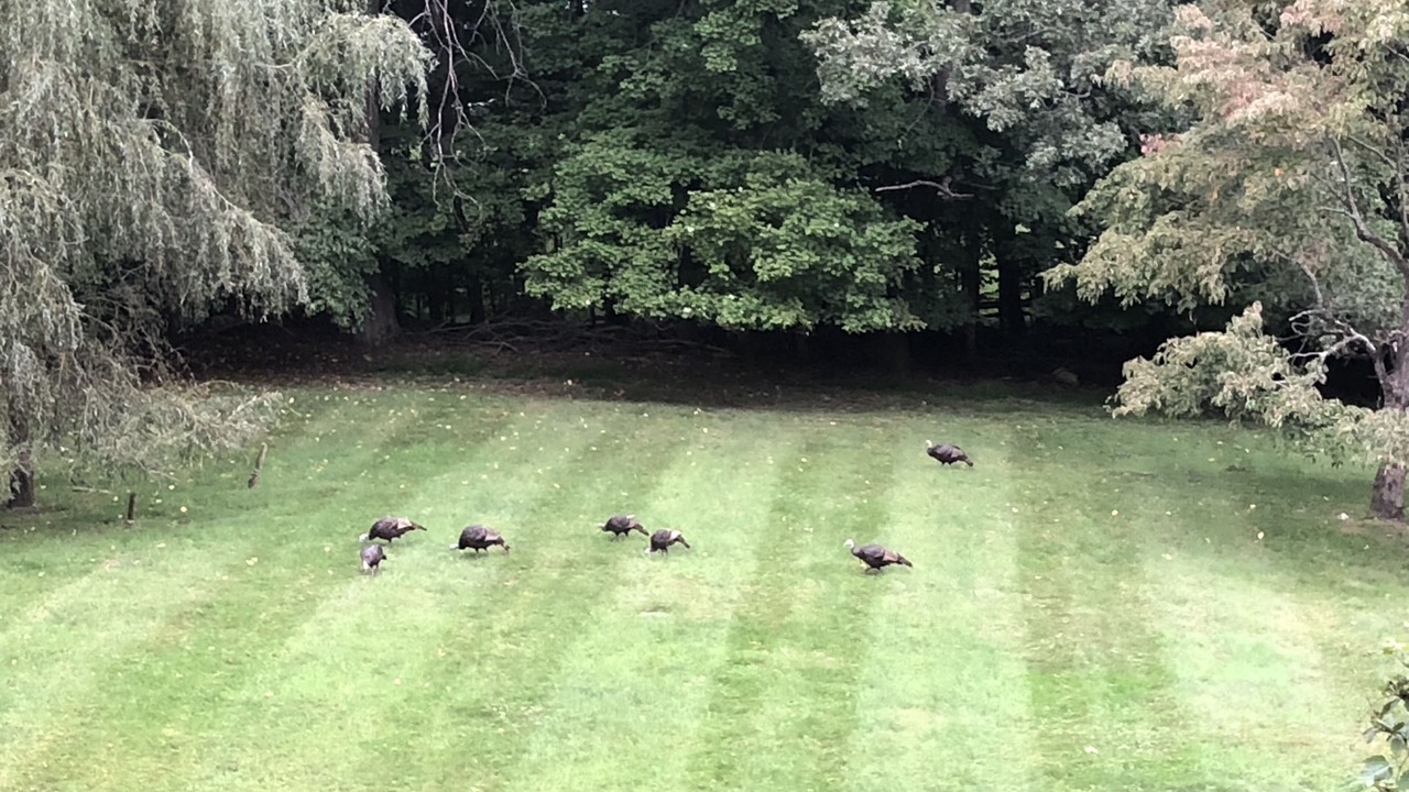 Photo of Others in Garrison