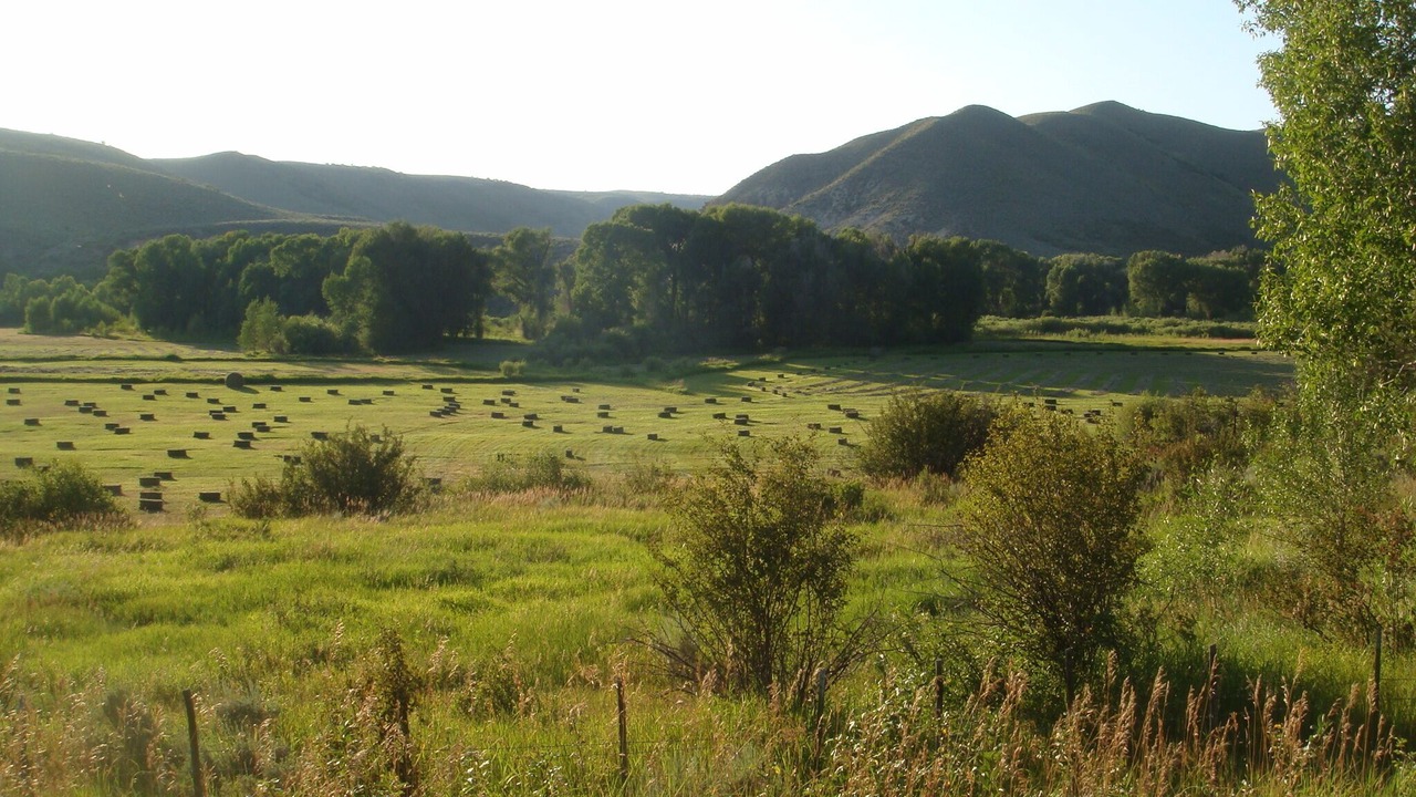Photo of Outdoor in Savery