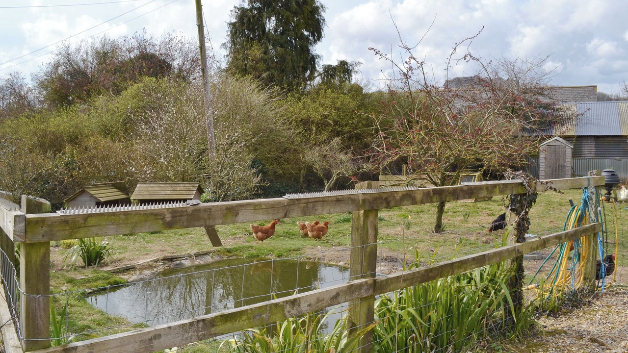 Photo of Others in Compton