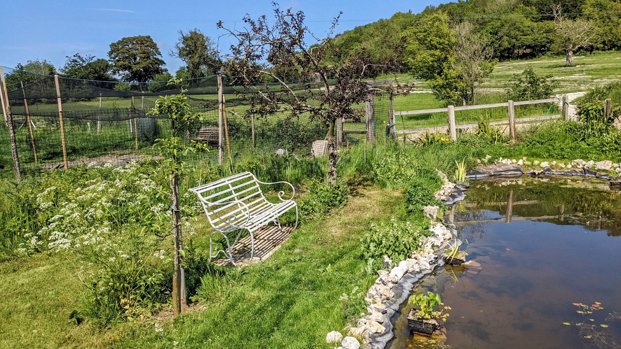 Photo of Outdoor in Compton