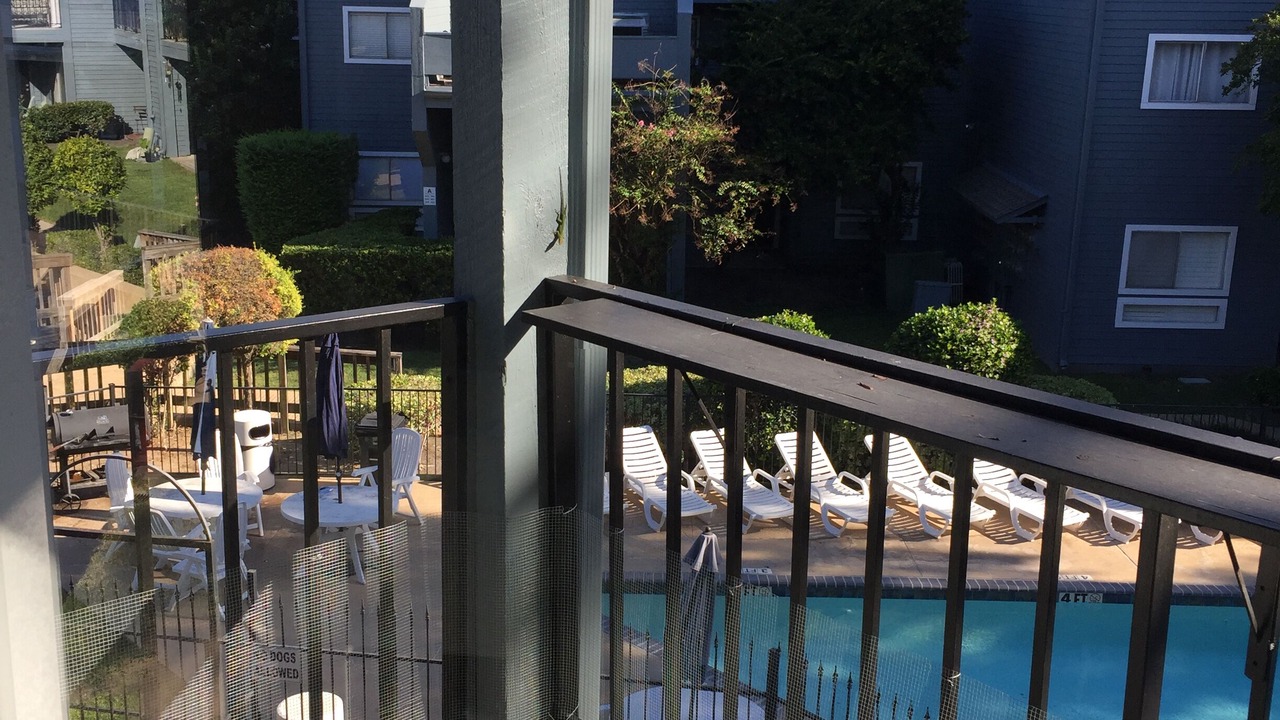 Photo of Outdoor in Walden on Lake Conroe