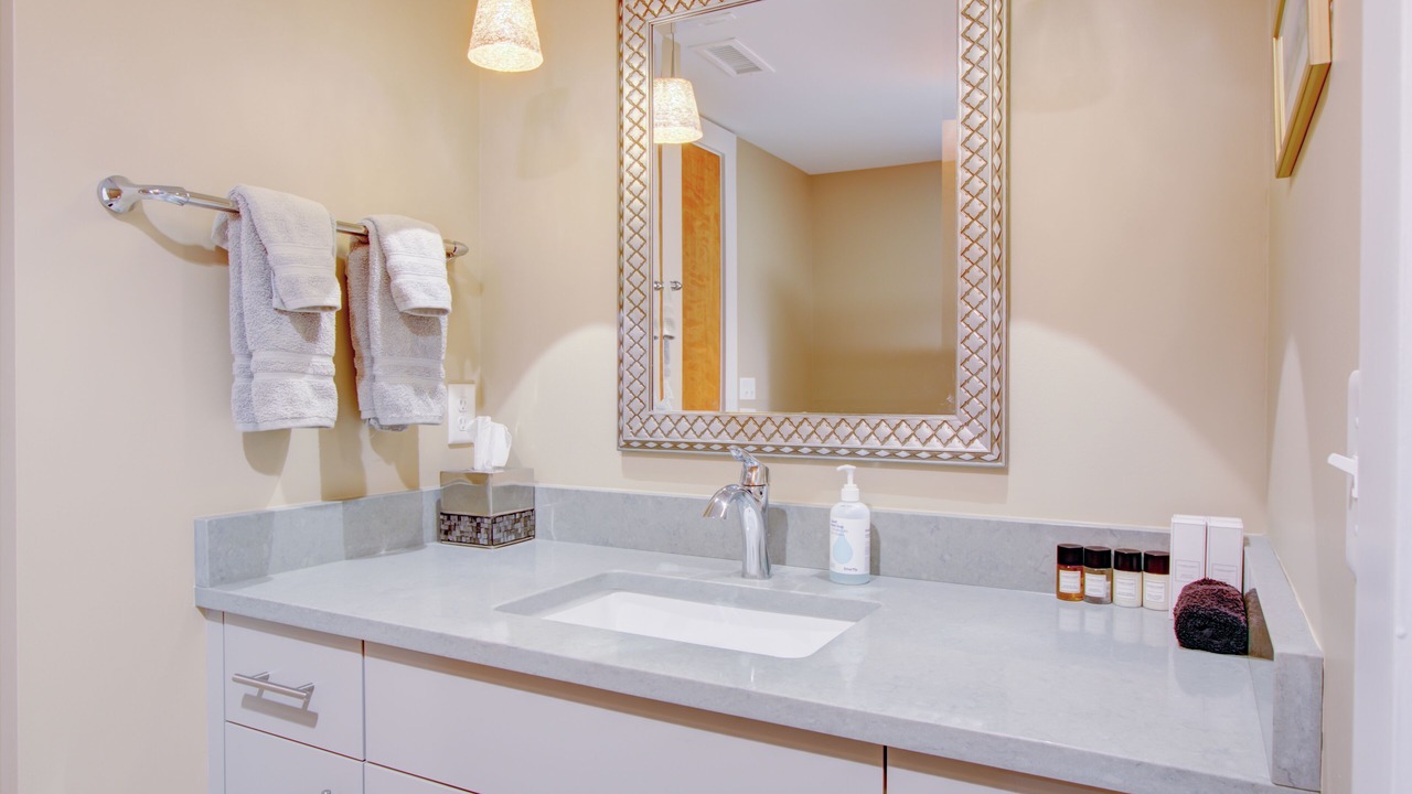Photo of Bathroom in Charleston Historic District