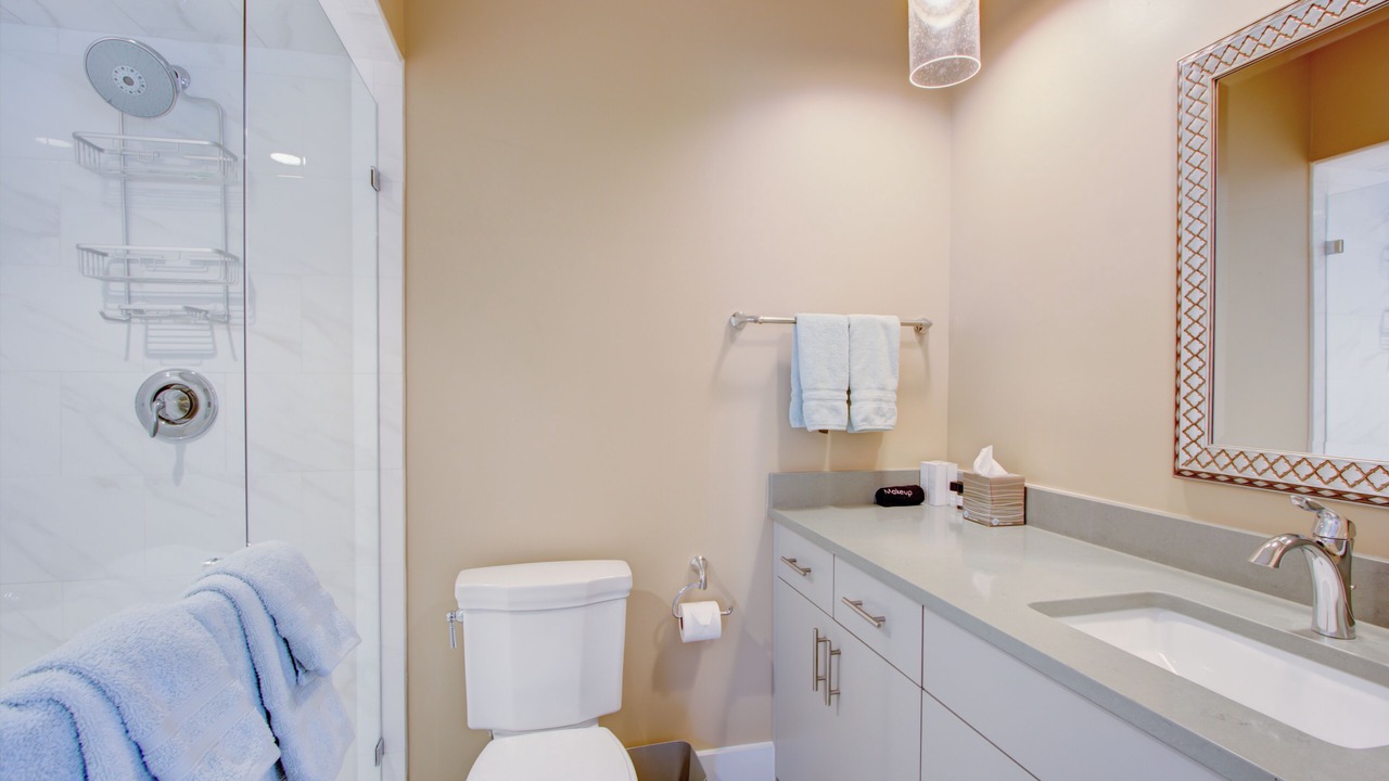 Photo of Bathroom in Charleston Historic District