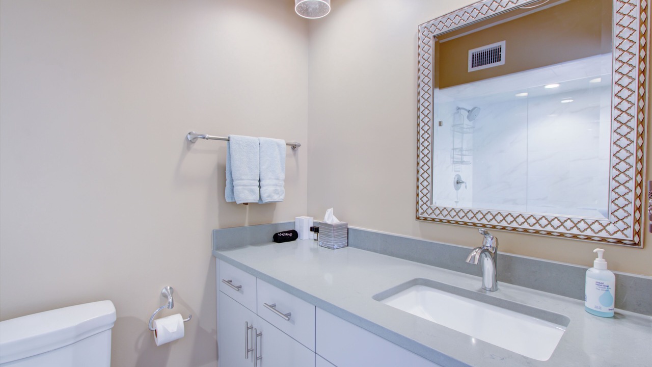 Photo of Bathroom in Charleston Historic District