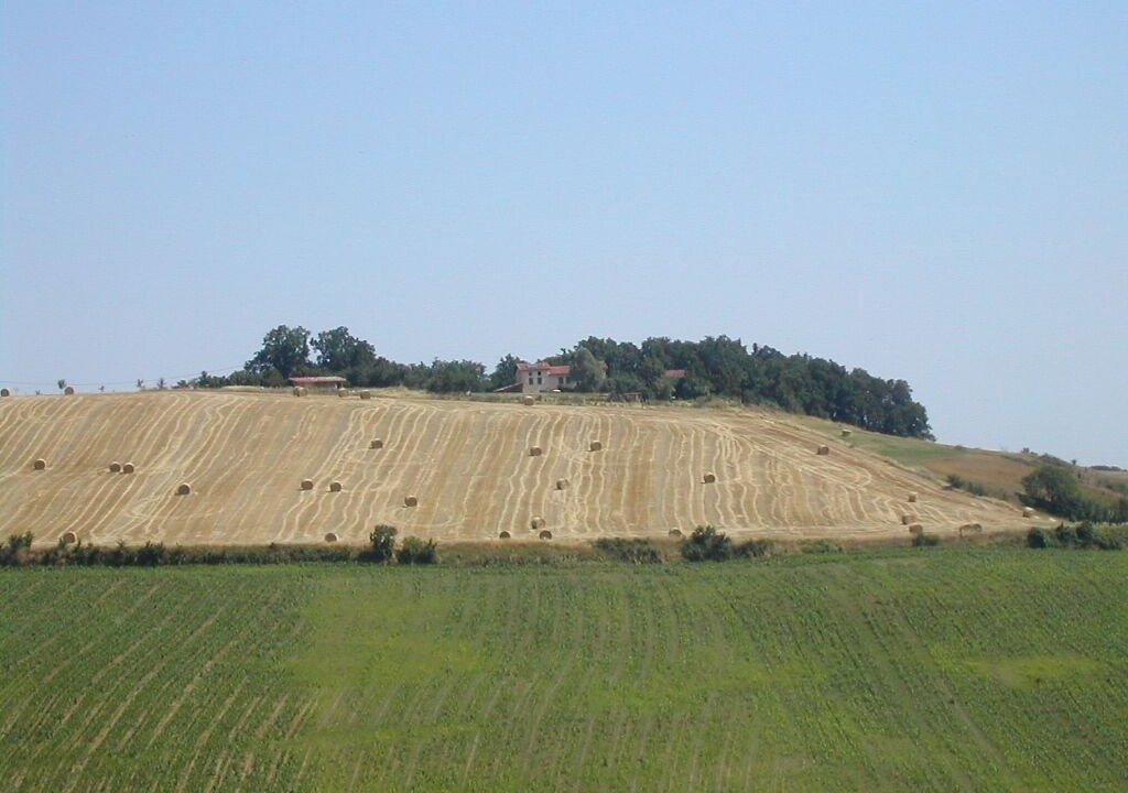 Photo of Others in Gaillac-Toulza