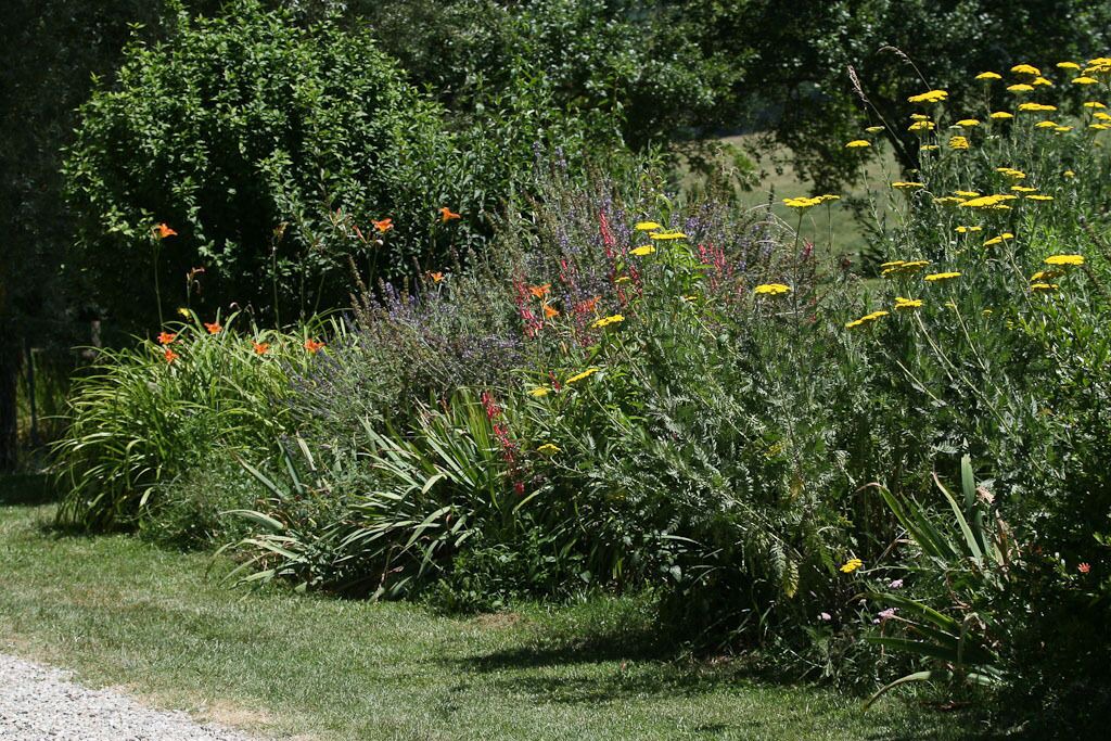 Photo of Outdoor in Gaillac-Toulza