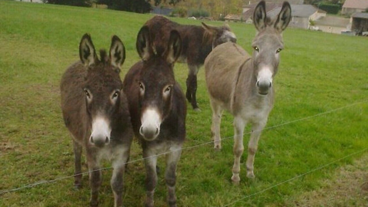 Photo of Outdoor in Cantois