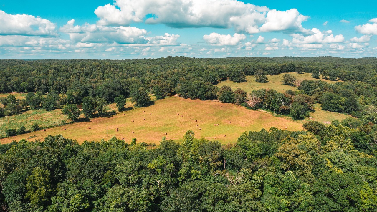 Photo of Outdoor in Cook Station