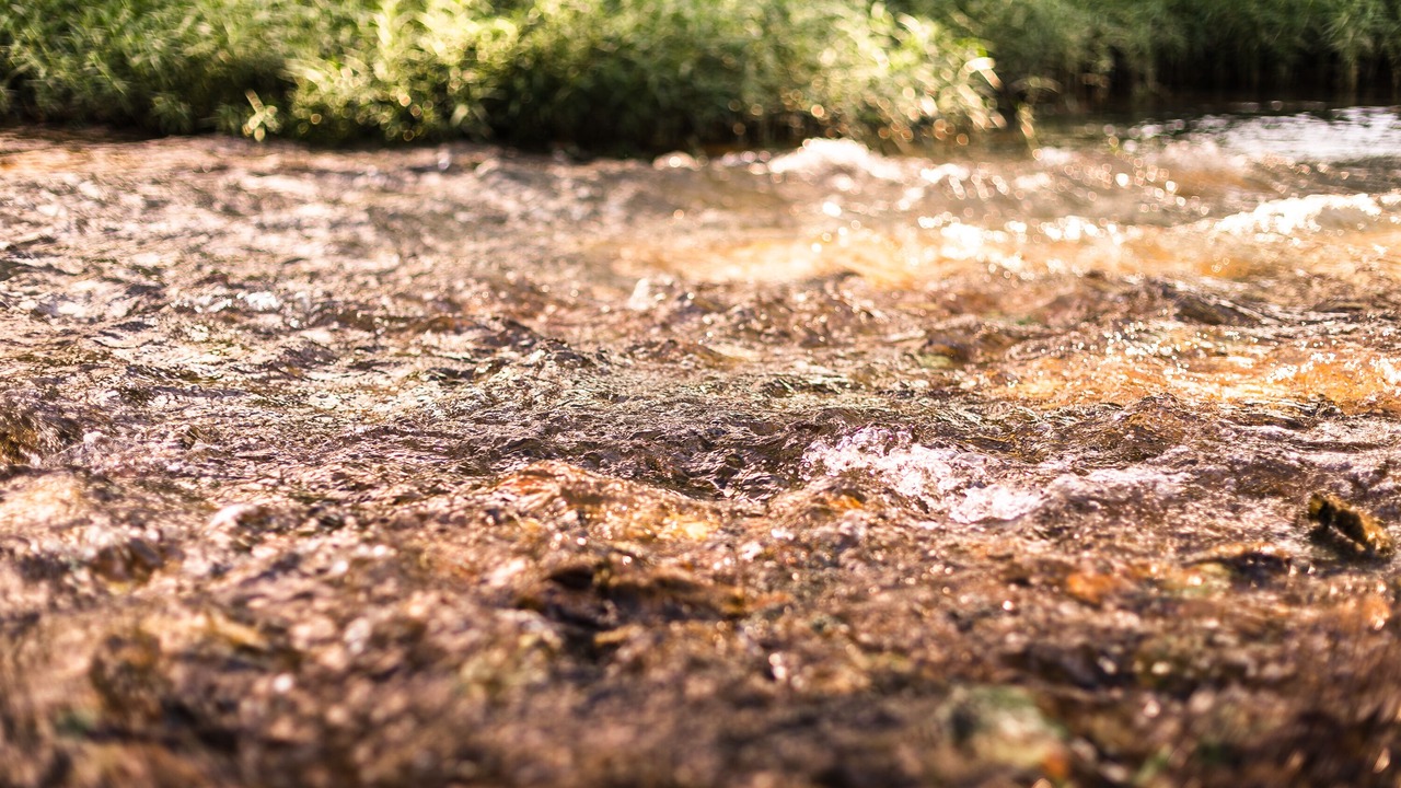 Photo of Outdoor in Cook Station