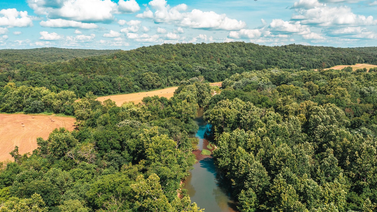 Photo of Outdoor in Cook Station