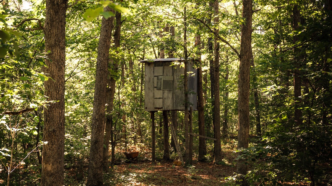 Photo of Outdoor in Cook Station