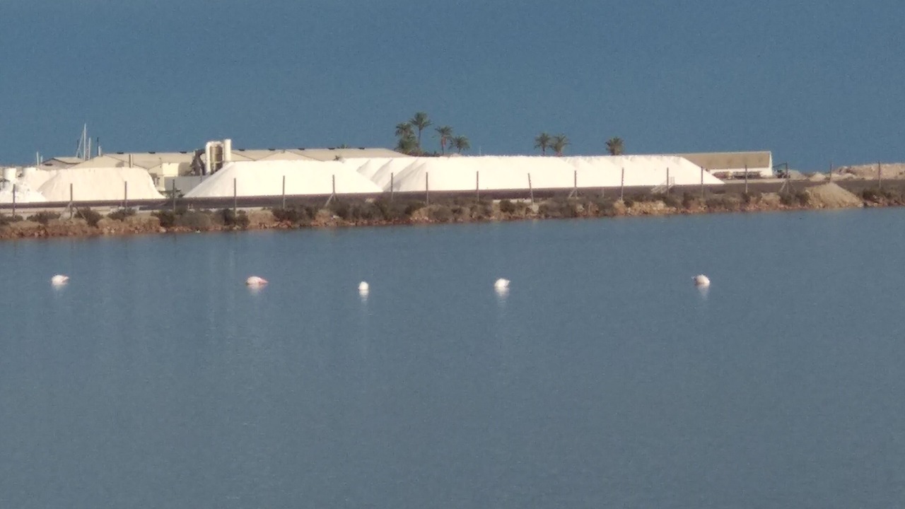 Photo of Others in Los Cuarteros