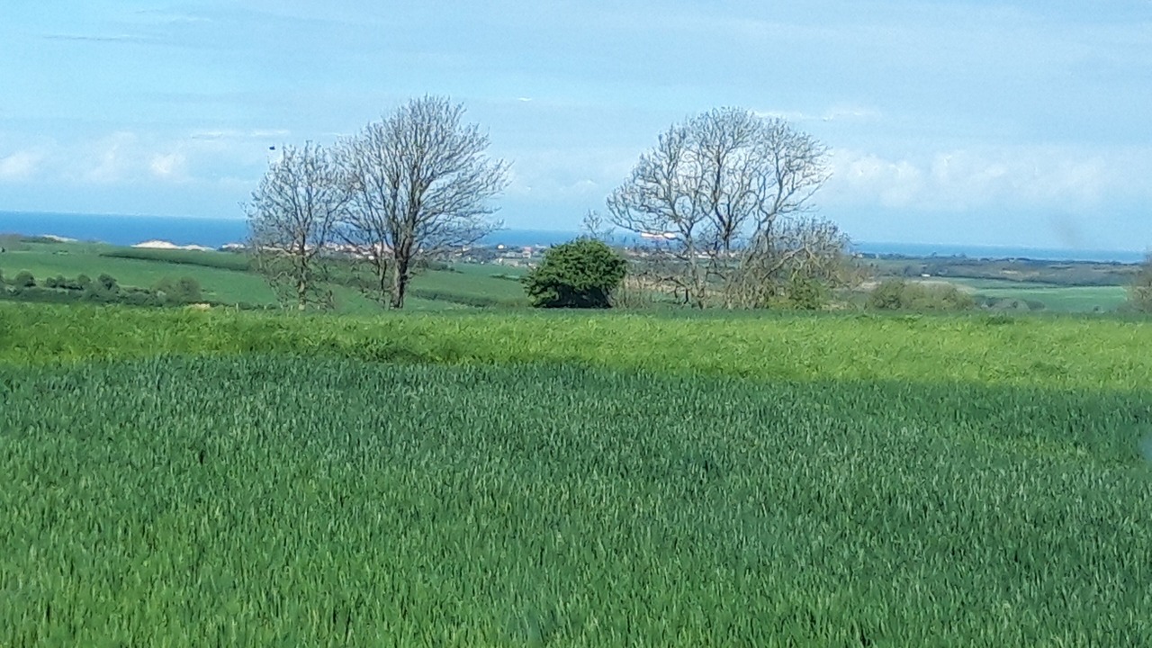 Photo of Outdoor in Offrethun
