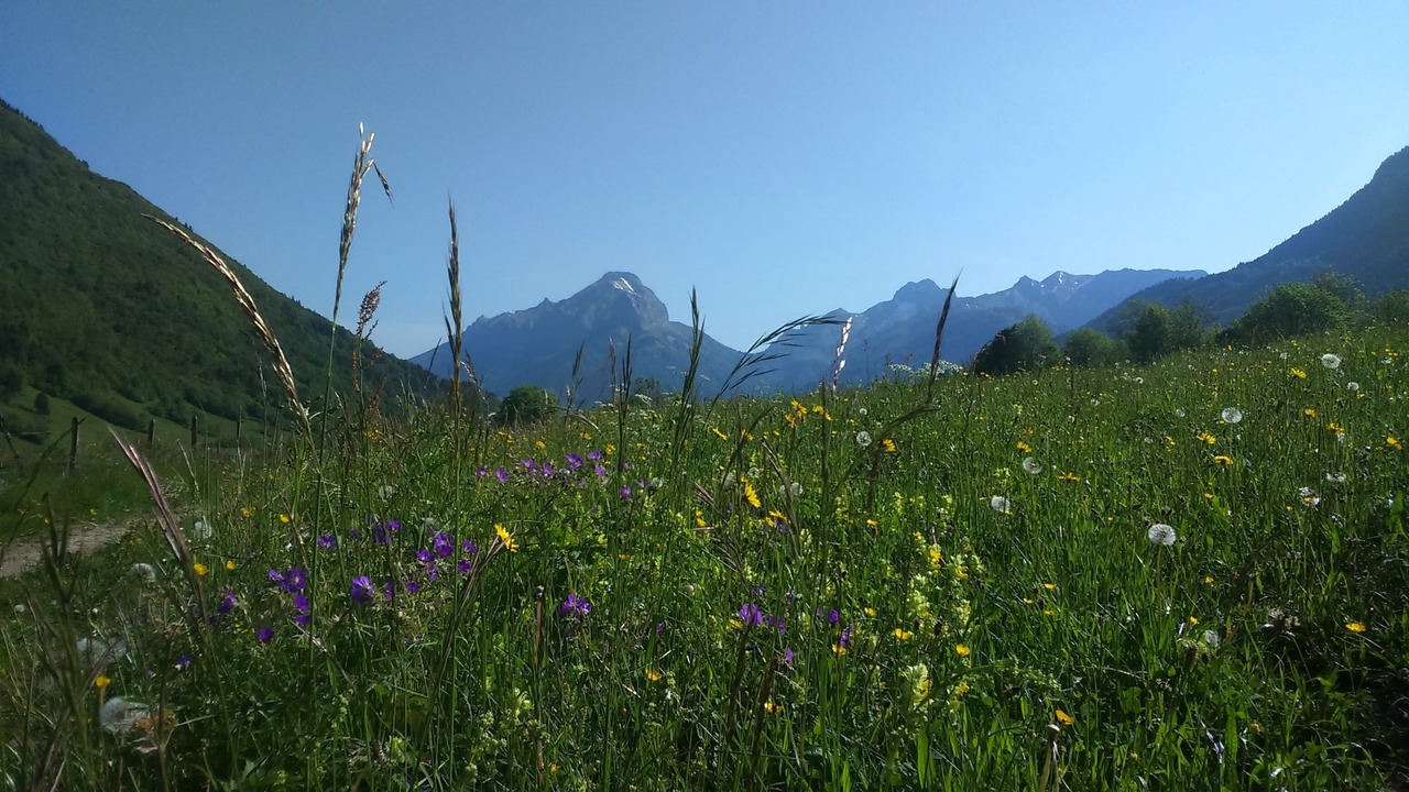 Photo of Outdoor in Sainte-Reine