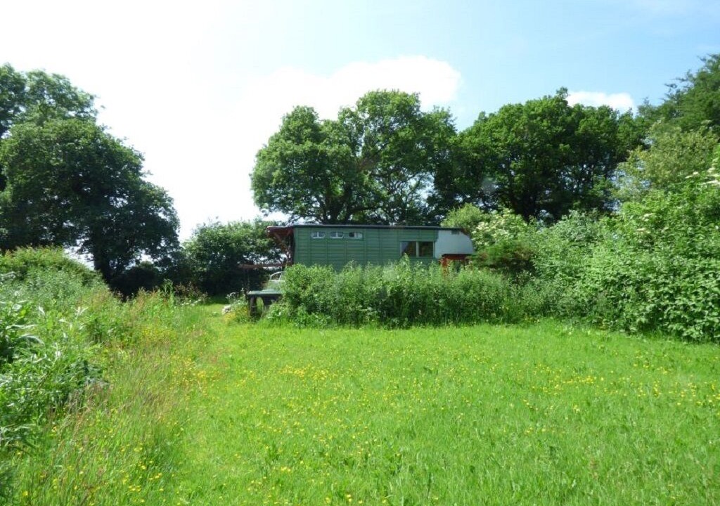 Photo of Outdoor in Cilgerran